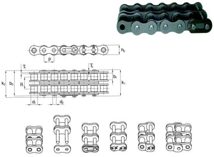 Standard Roller Chains Type B - double row